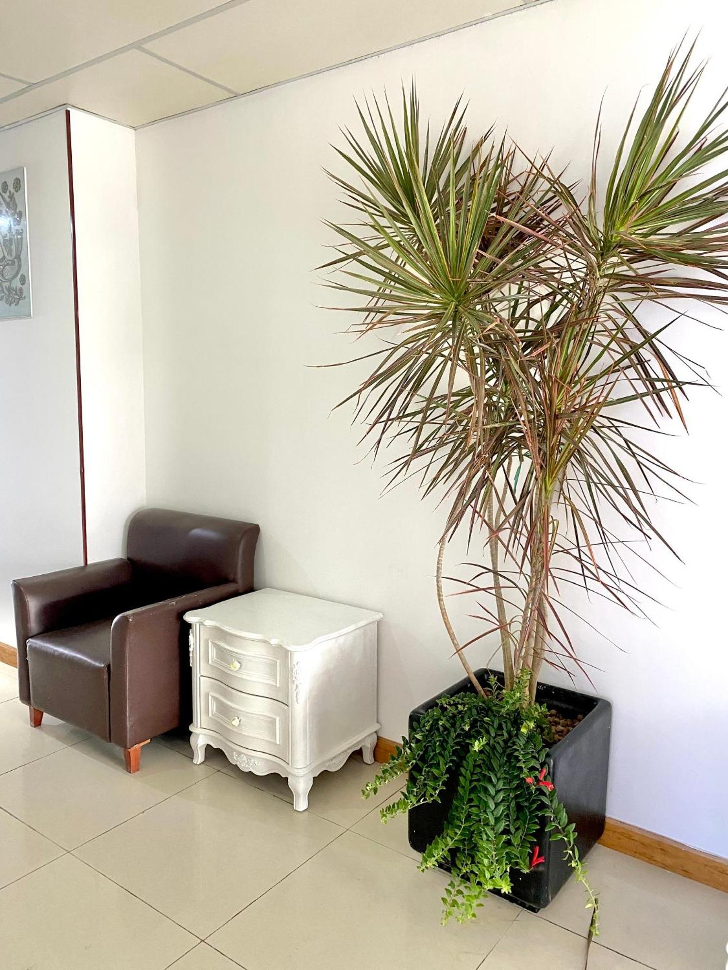 Zozo House - Homestay Bai Sau Vung Tau Luaran gambar